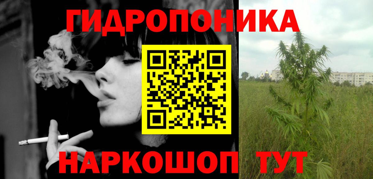Канабис OG Kush Черногорск